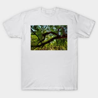 "Off The Beaten Path" T-Shirt